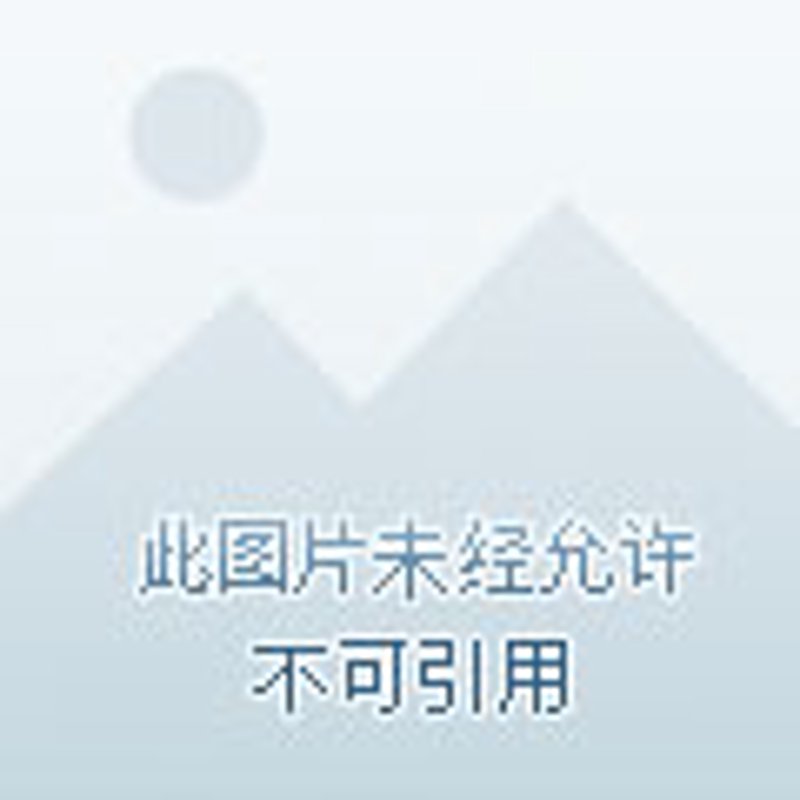 物流专线:避开五大误区,开启高效运输之旅
